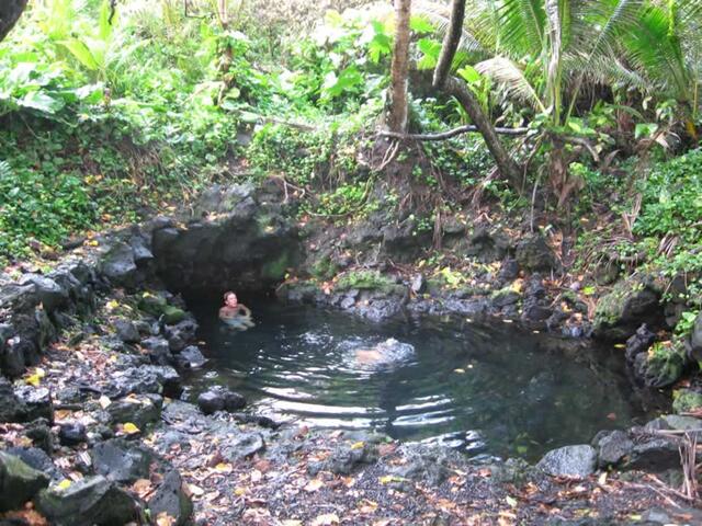 pool in the jungle (Pohoiki)